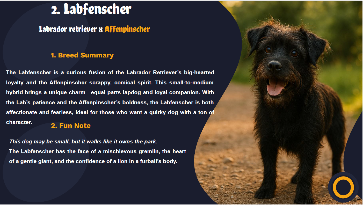Codex Canin: Volume 1 – Dogs A (Affenpinscher to Australian Silky Terrier)