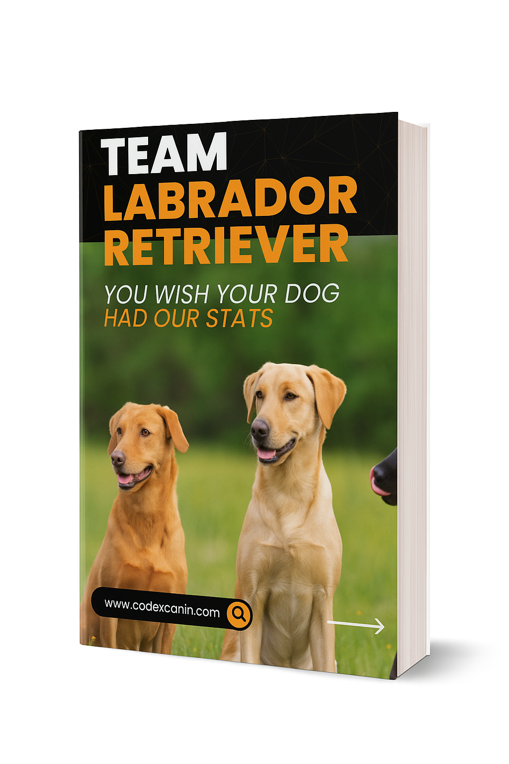 CODEX CANIN : TEAM LABRADOR RETREVIER